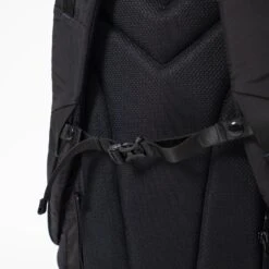 Doughnut Stargazer The Actualise Series -Doughnut Doughnut Stargazer The Actualise Series Black 11a 1 54215ead af55 485e 8059 923c13c6b40a